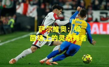 萨尔维奥:绿茵场上的灵动舞者