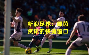 新浪足球:绿茵资讯的快捷窗口