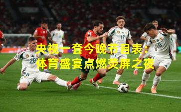 央视一套今晚节目表：体育盛宴点燃荧屏之夜