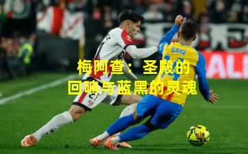 梅阿查：圣殿的回响与蓝黑的灵魂