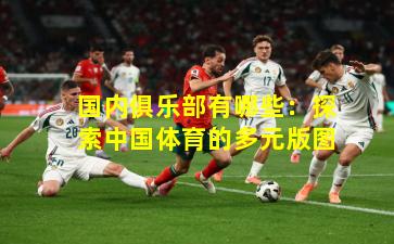 国内俱乐部有哪些：探索中国体育的多元版图