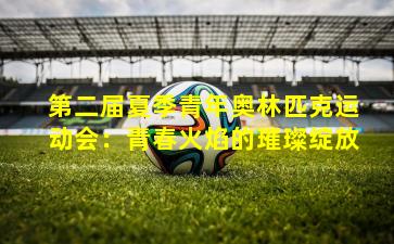 第二届夏季青年奥林匹克运动会：青春火焰的璀璨绽放