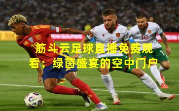 筋斗云足球直播免费观看：绿茵盛宴的空中门户