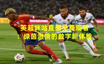 英超咪咕直播免费观看：绿茵激情的数字新体验