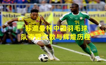 苏迪曼杯中国羽毛球队夺冠次数与辉煌历程