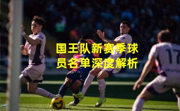 国王队新赛季球员名单深度解析