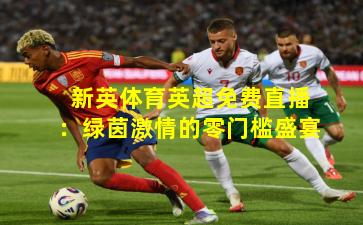 新英体育英超免费直播:绿茵激情的零门槛盛宴